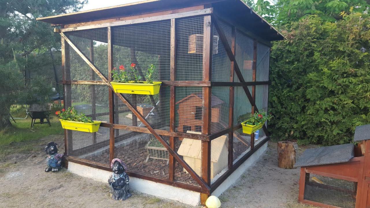 Pension Fischerhaus Trassenheide Buitenkant foto
